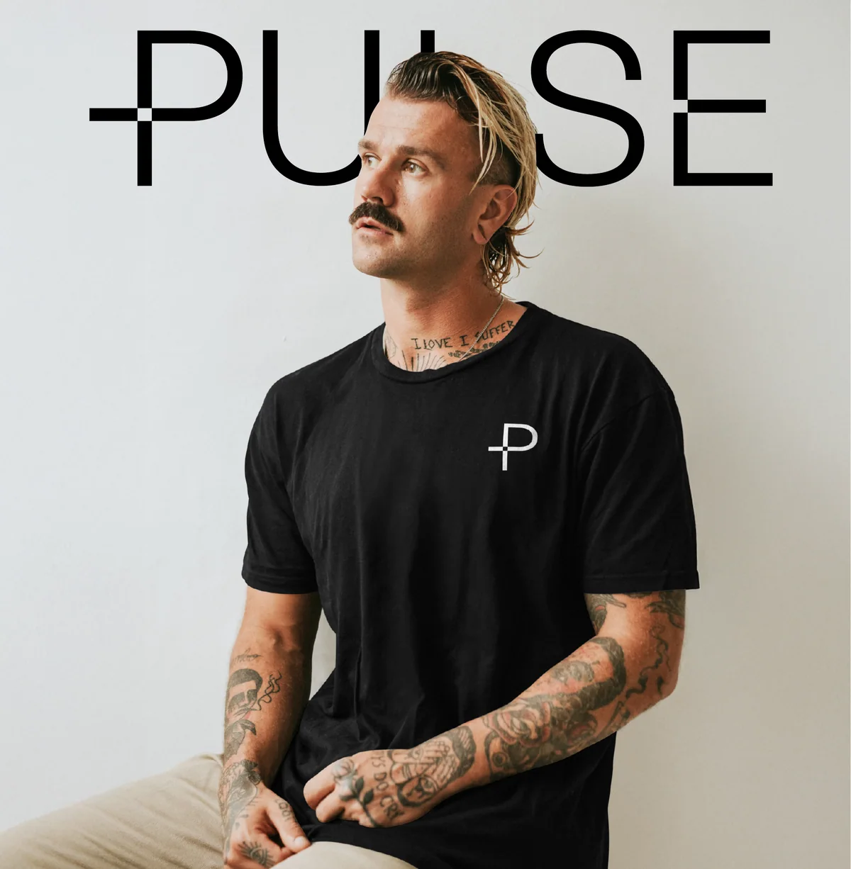 Pulse, slide 2 of 11