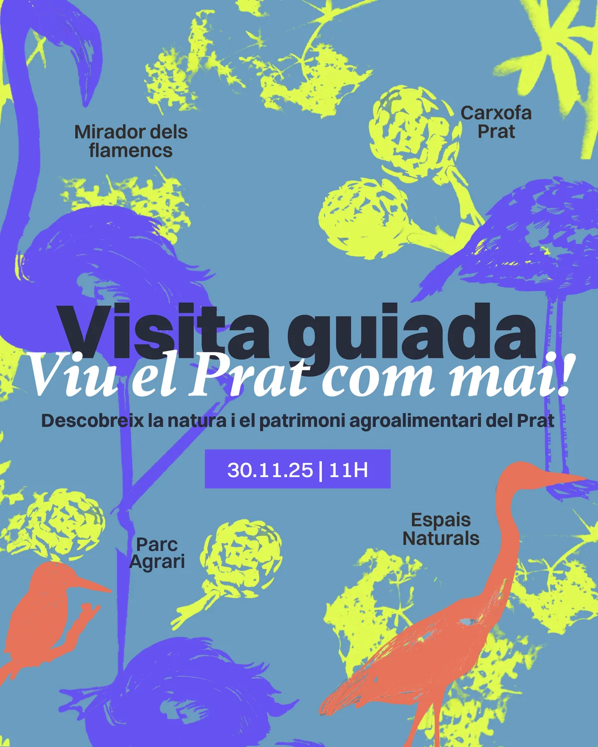 Turismo El Prat, slide 7 of 12