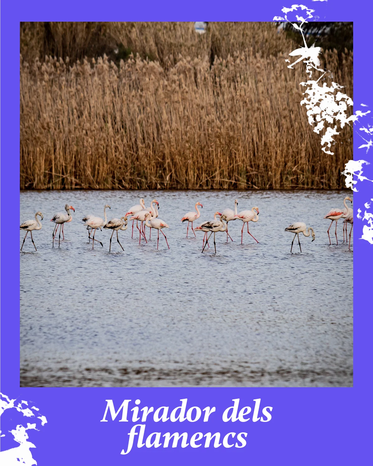 Turismo El Prat, slide 8 of 12