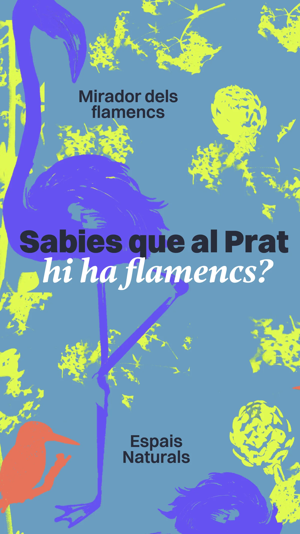 Turismo El Prat, slide 10 of 12