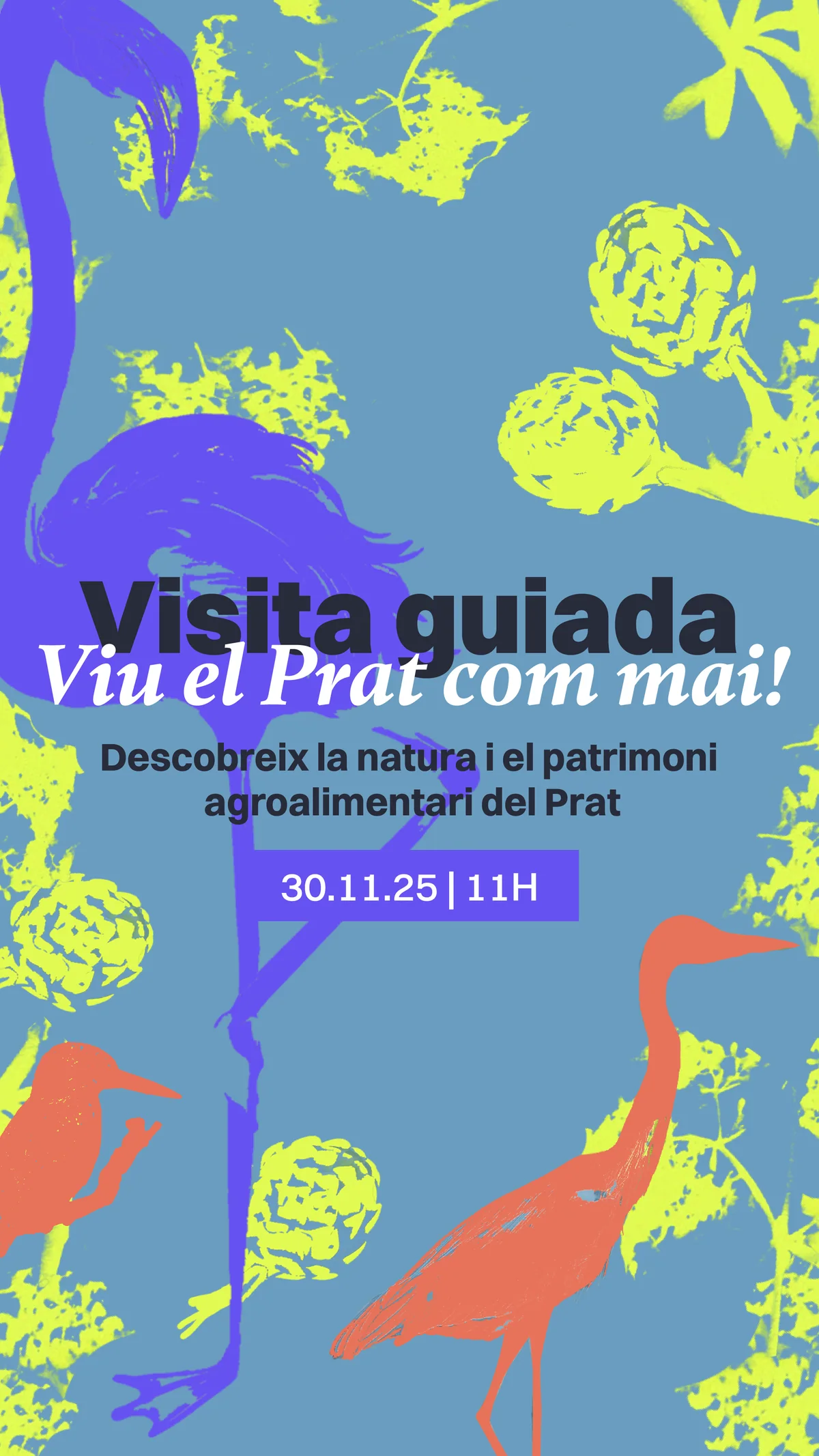 Turismo El Prat, slide 12 of 12